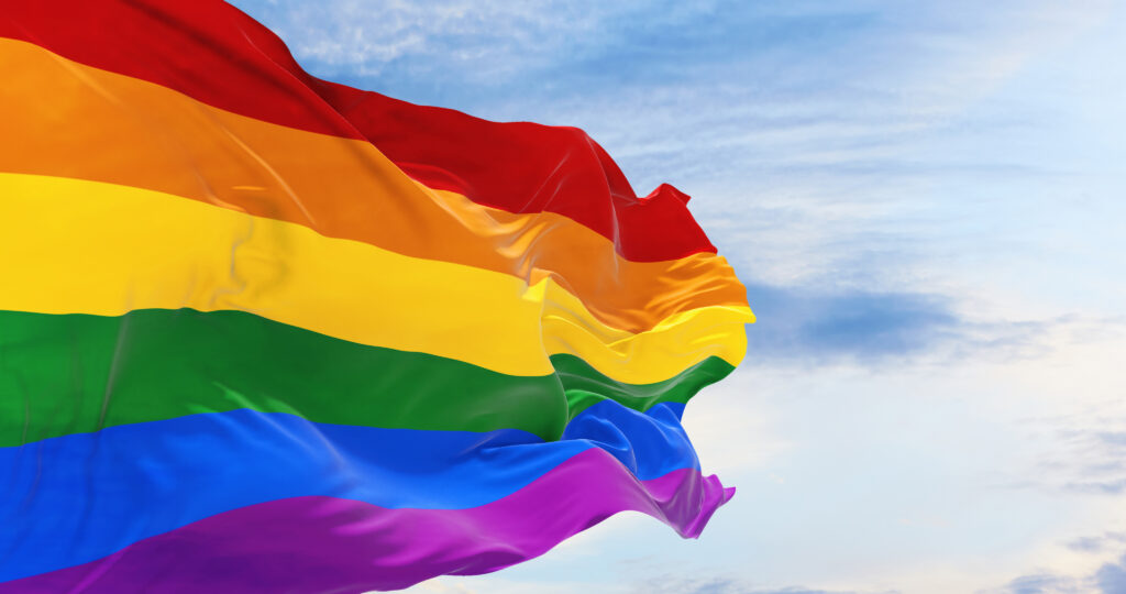 Pride Flag Rainbow
